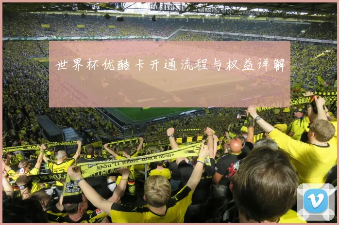 世界杯优酷卡开通流程与权益详解