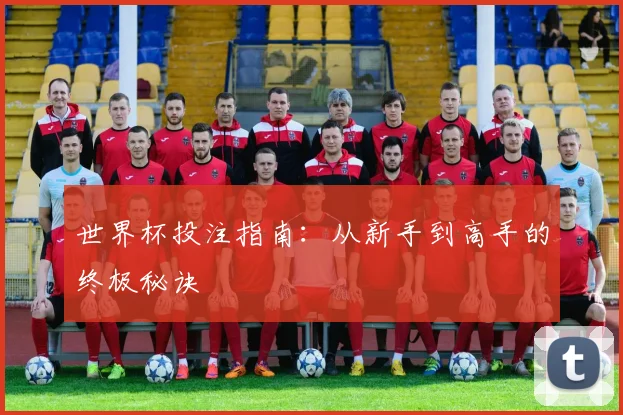 世界杯投注指南：从新手到高手的终极秘诀