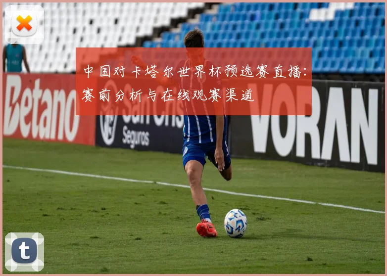 中国对卡塔尔世界杯预选赛直播：赛前分析与在线观赛渠道