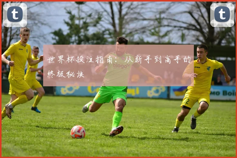 世界杯投注指南：从新手到高手的终极秘诀