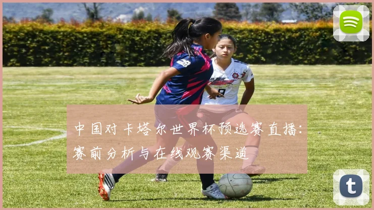 中国对卡塔尔世界杯预选赛直播：赛前分析与在线观赛渠道
