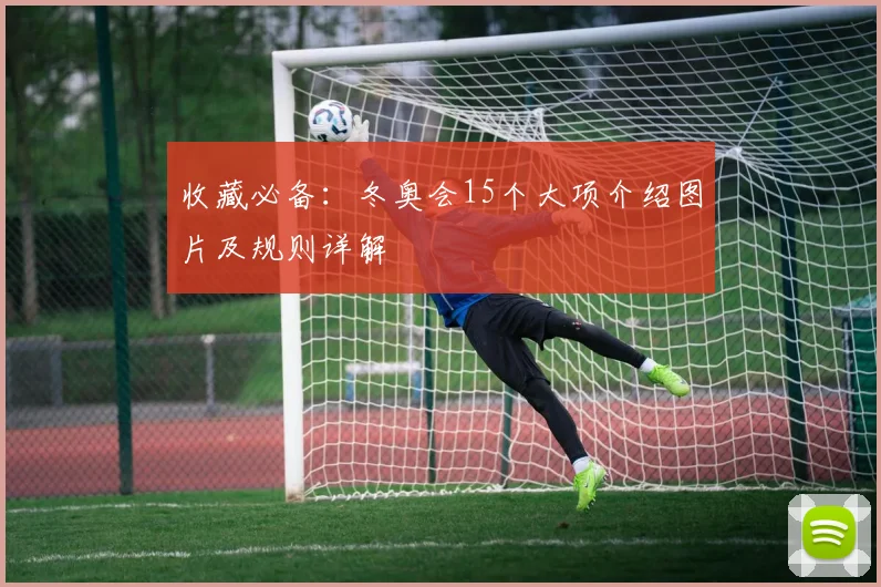 收藏必备：冬奥会15个大项介绍图片及规则详解