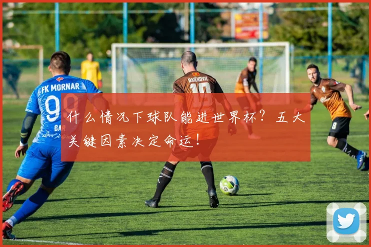 什么情况下球队能进世界杯？五大关键因素决定命运！